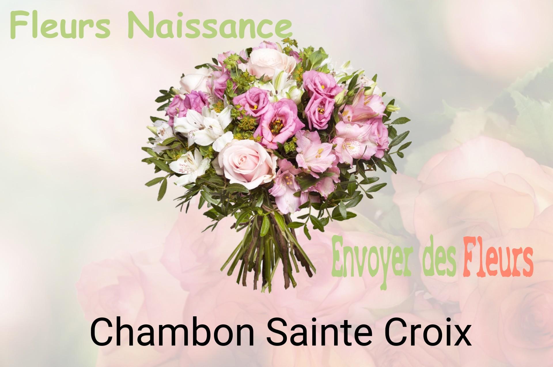 Bouquet de fleurs de naissance livré à Chambon-Sainte-Croix
