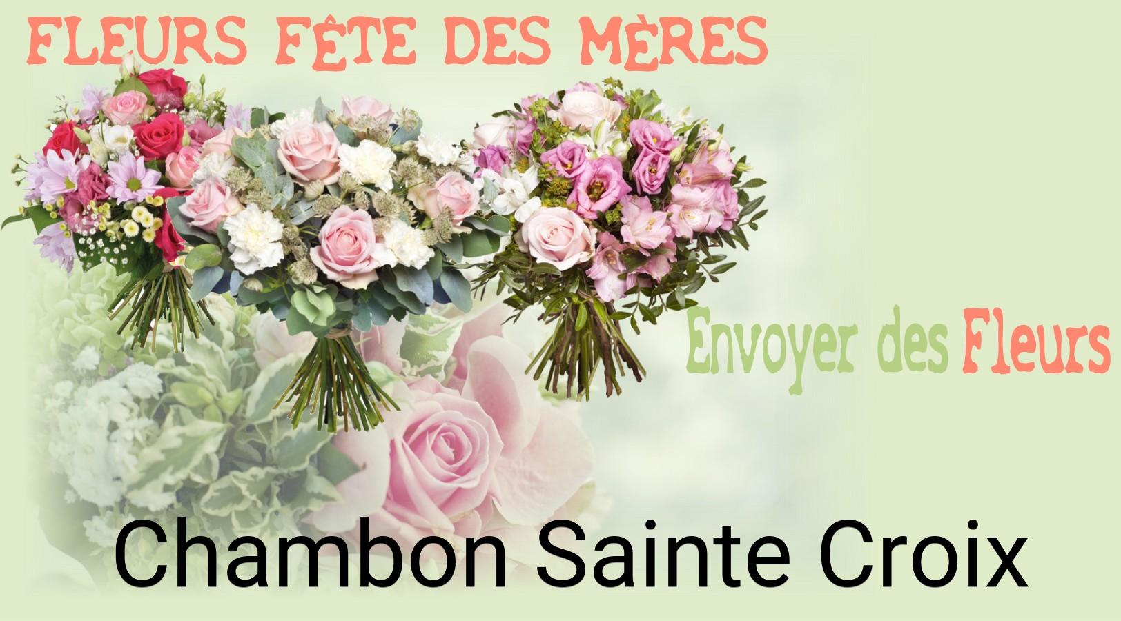 Bouquet de Fête des Mères livré à Chambon-Sainte-Croix